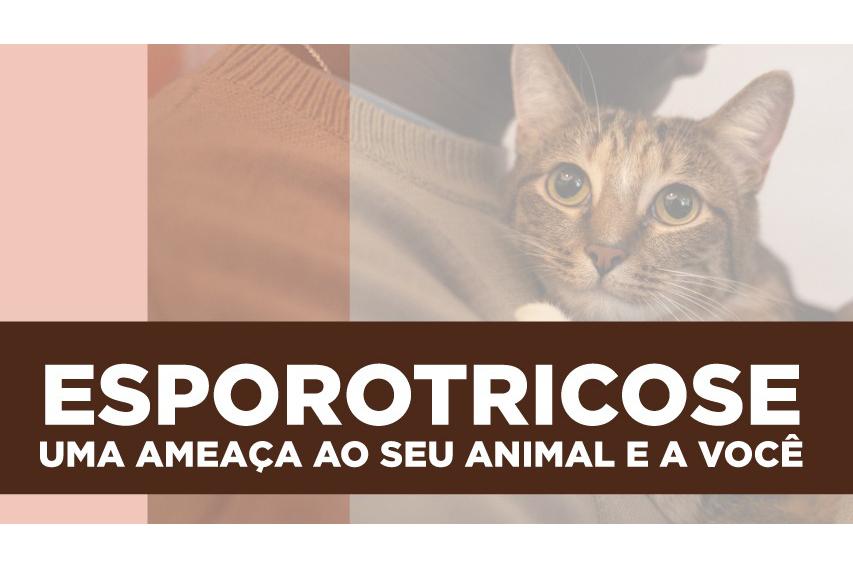 Paraná é o primeiro estado a oferecer medicamento para tratar animais com esporotricose