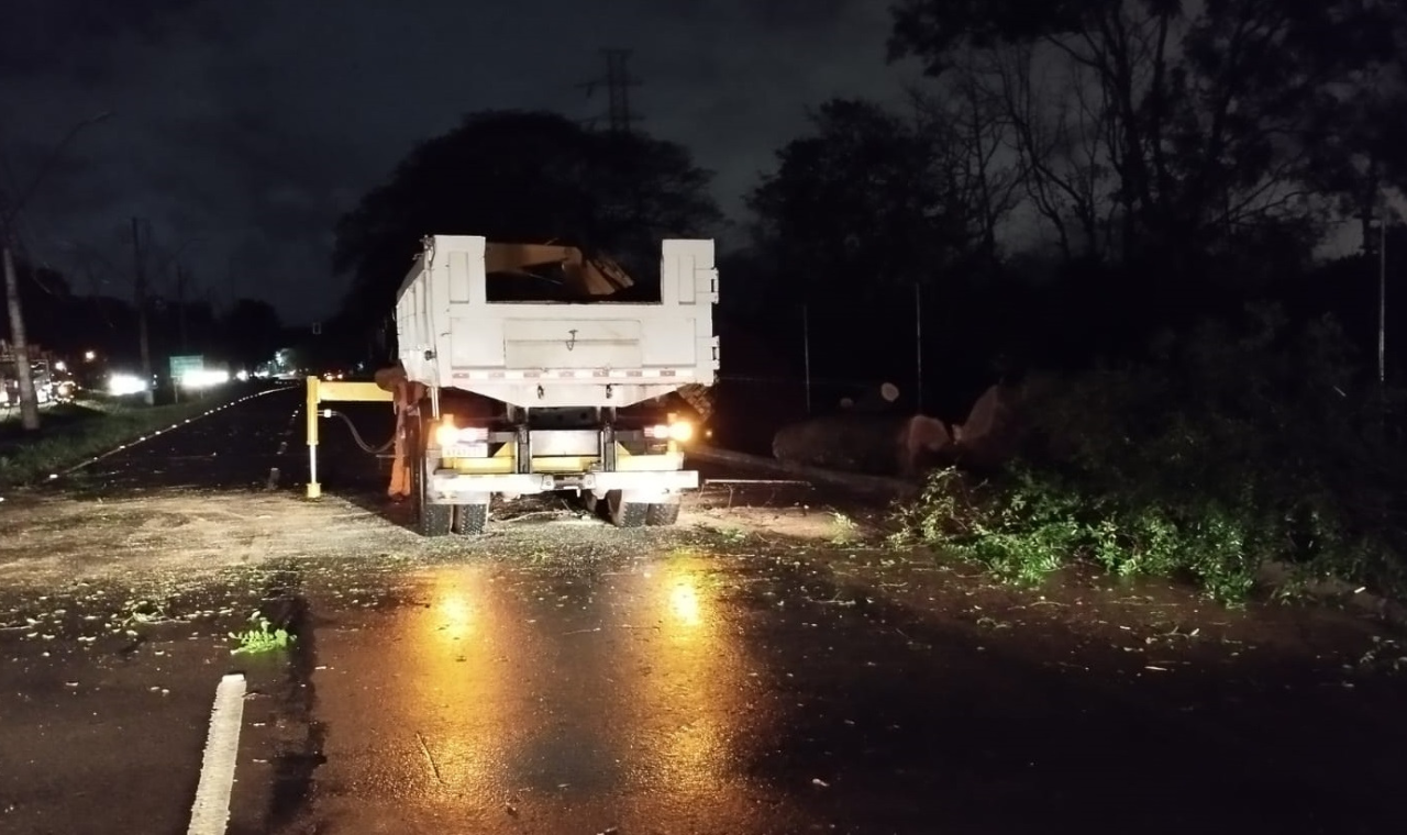Temporal com ventos de 90km/h causa quedas de árvores e danos à rede elétrica em Foz do Iguaçu