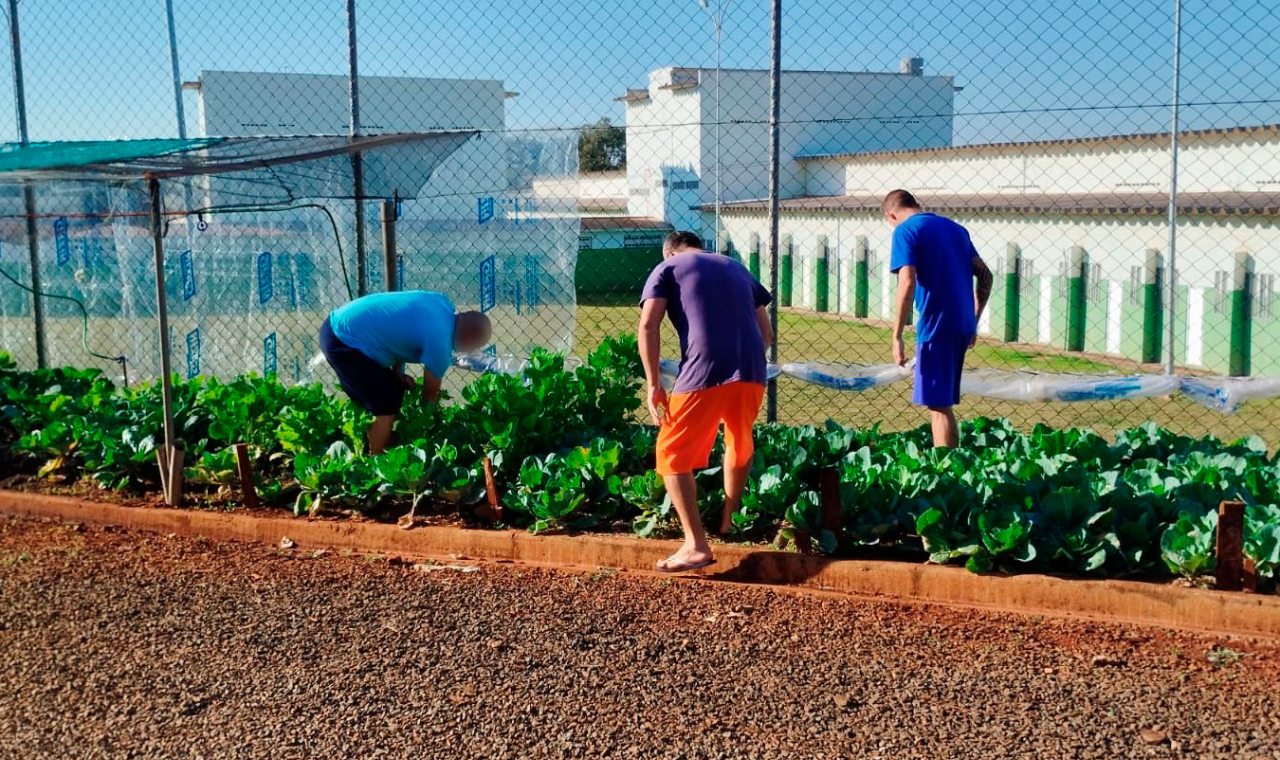 Projeto Semear, da Polícia Penal, fornece produtos orgânicos a escola de Foz do Iguaçu